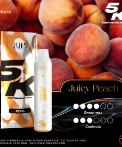 jues 5000 puff juicy peach
