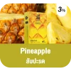 Ks Lumina Pod Pineapple