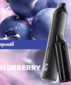 Ks Quik Pro 15000 Puff Blueberry starter Kit